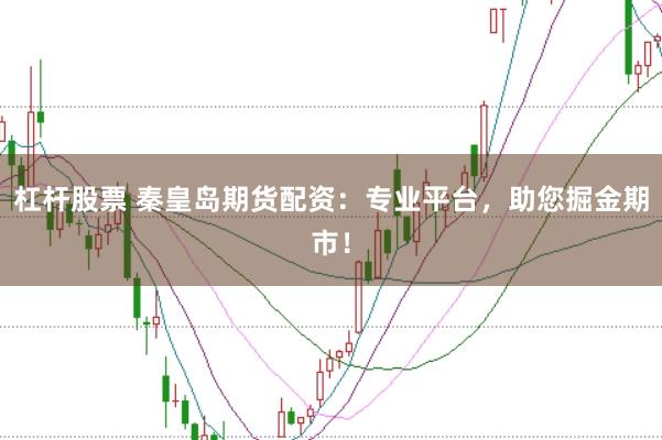 杠杆股票 秦皇岛期货配资：专业平台，助您掘金期市！