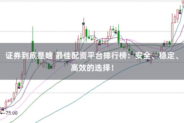 证券到底是啥 最佳配资平台排行榜：安全、稳定、高效的选择！