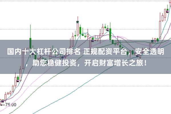 国内十大杠杆公司排名 正规配资平台，安全透明，助您稳健投资，开启财富增长之旅！