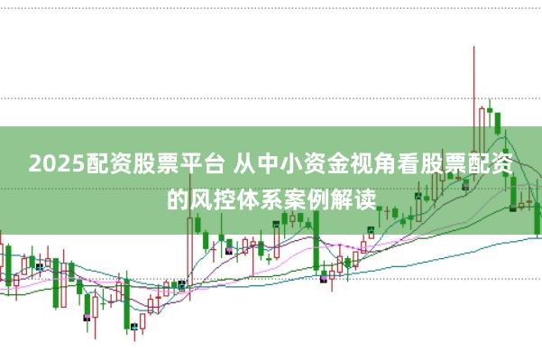 2025配资股票平台 从中小资金视角看股票配资的风控体系案例解读
