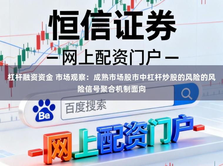 杠杆融资资金 市场观察：成熟市场股市中杠杆炒股的风险的风险信号聚合机制面向