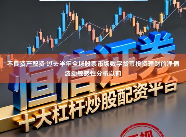 不良资产配资 过去半年全球股票市场数字货币投资理财的净值波动敏感性分析以前